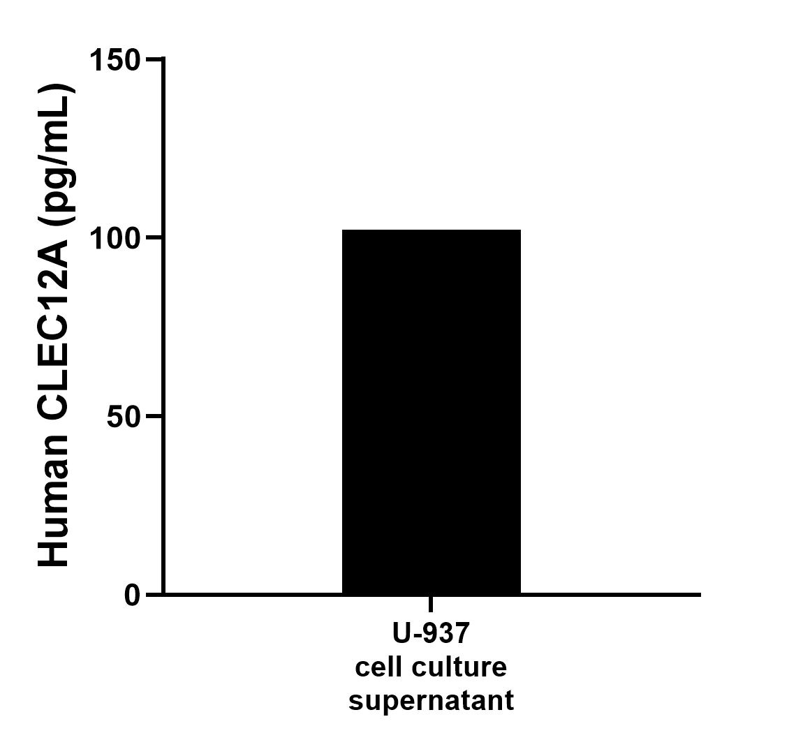 U-937 human histiocytic lymphoma cells were cultured in RPMI supplemented with 10% fetal bovine serum and 2 mM L-glutamine, and incubated at 37 °C. An aliquot of the cell culture supernate was removed, assayed for human CLEC12A, and measured 102.2 pg/mL.